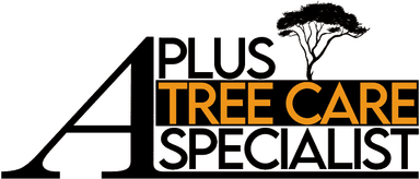 A Plus Tree Service